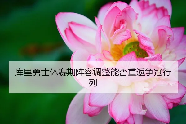ku-li-yong-shi-xiu-sai-qi-zhen-rong-tiao-zheng-neng-fou-chong-fan-zheng-guan-hang-lie-1-707.jpg