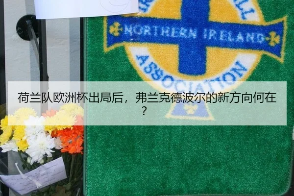 荷兰队欧洲杯出局后，弗兰克德波尔的新方向何在？