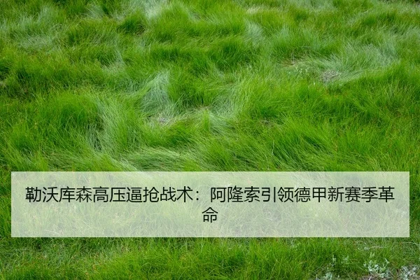 lei-wo-ku-sen-gao-ya-bi-qiang-zhan-shu-a-long-suo-yin-ling-de-jia-xin-sai-ji-ge-ming-3-965.jpg