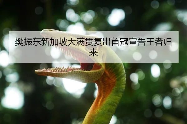 樊振东新加坡大满贯复出首冠宣告王者归来