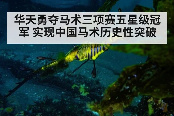华天勇夺马术三项赛五星级冠军 实现中国马术历史性突破